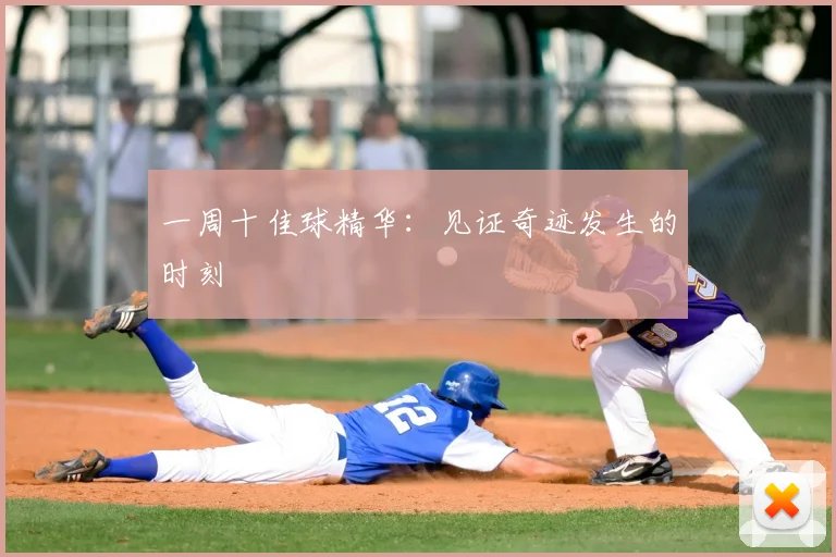 一周十佳球精华:见证奇迹发生的时刻