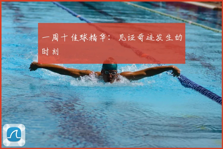 一周十佳球精华：见证奇迹发生的时刻