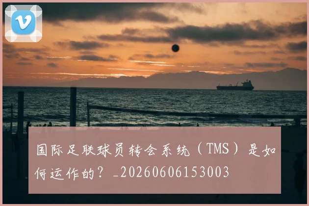 国际足联球员转会系统（TMS）是如何运作的？_20260606153003
